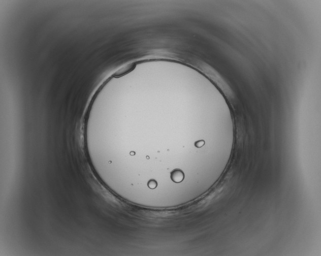 X0000111851292200908201229