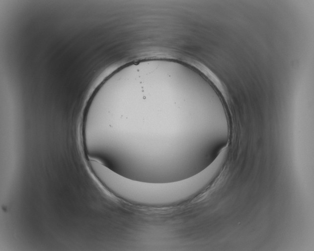 X0000111851293200908201229