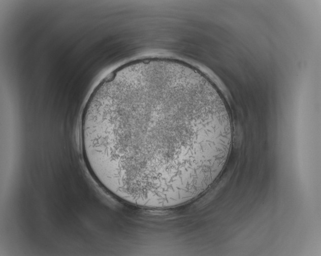 X0000111851295200908201229