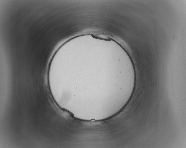 X0000111851296200908201229