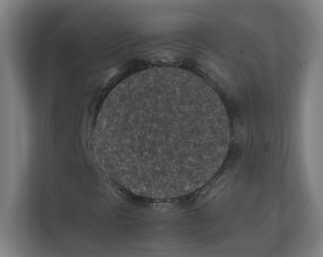 X0000111851297200908201229
