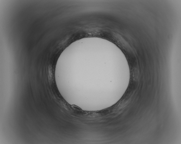 X0000111851298200908201229