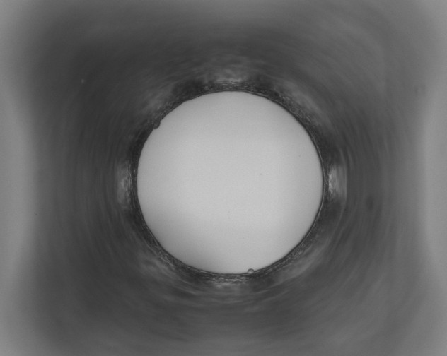 X0000111851299200908201229
