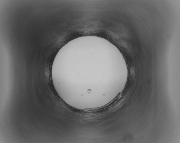 X0000111851300200908201229