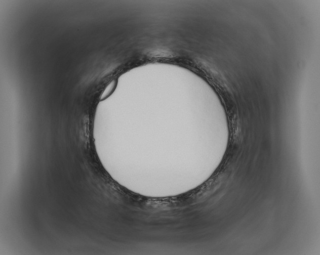 X0000111851301200908201229