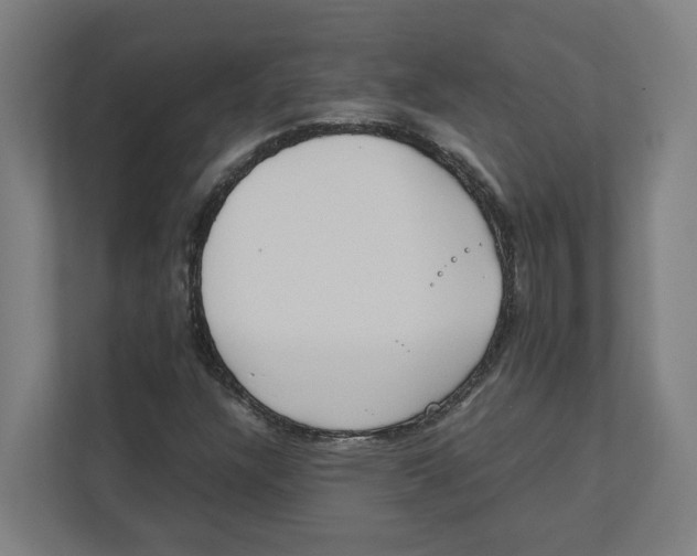 X0000111851304200908201229