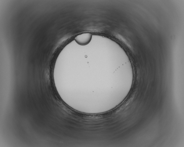 X0000111851307200908201229