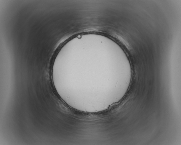 X0000111851308200908201229