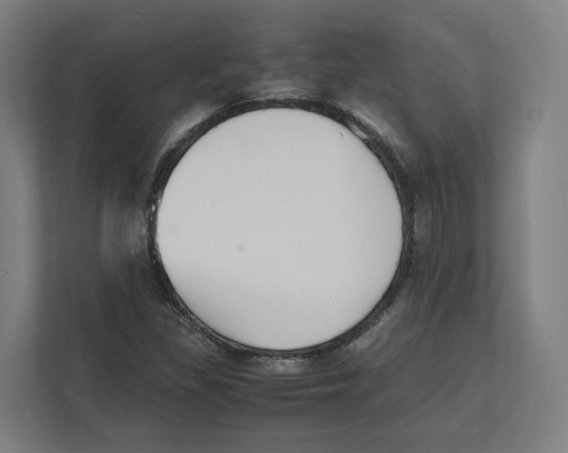 X0000111851309200908201229