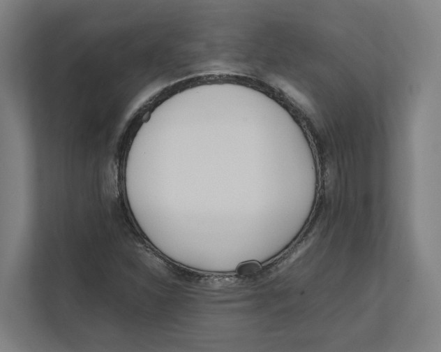 X0000111851310200908201229