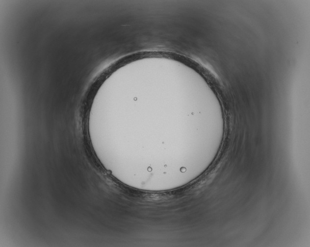 X0000111851311200908201229