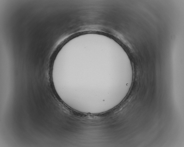 X0000111851312200908201229