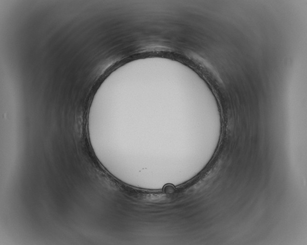 X0000111851313200908201229