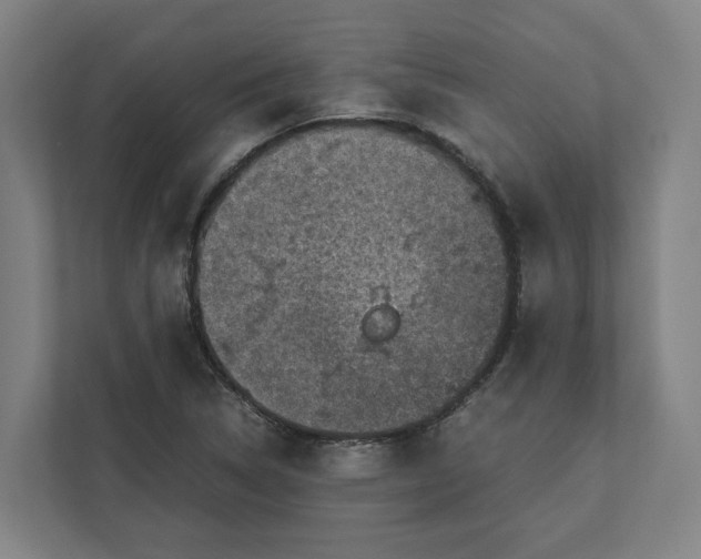 X0000111851314200908201229