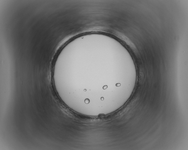 X0000111851316200908201229