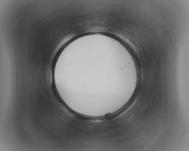 X0000111851317200908201229
