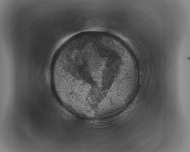 X0000111851319200908201229