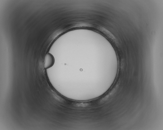 X0000111851321200908201229