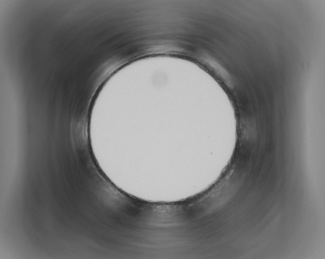 X0000111851322200908201229