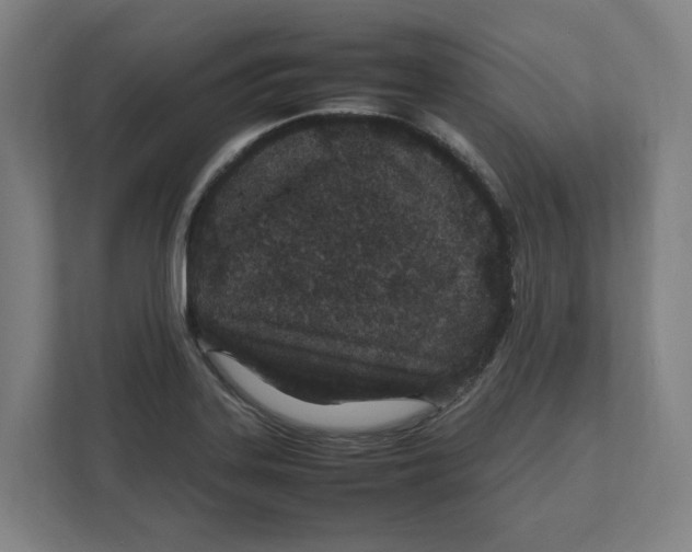 X0000111851323200908201229