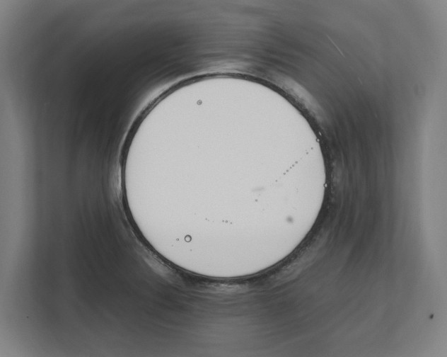 X0000111851324200908201229