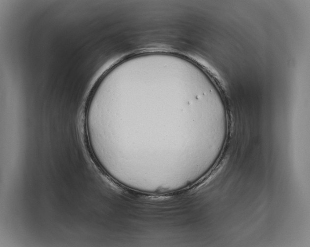 X0000111851325200908201229