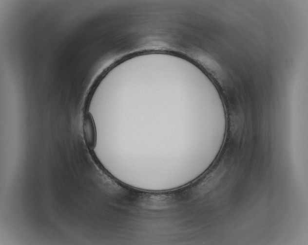 X0000111851326200908201229