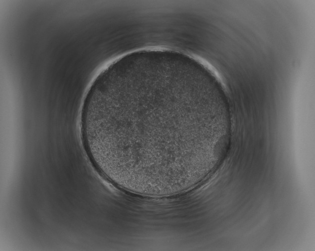 X0000111851327200908201229