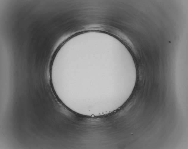 X0000111851328200908201229