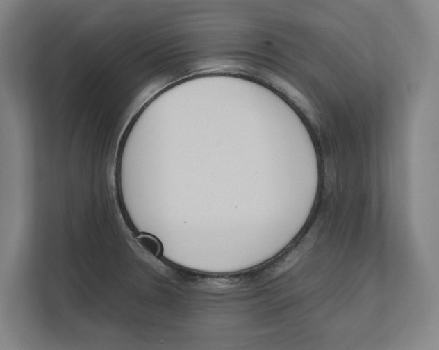 X0000111851330200908201229