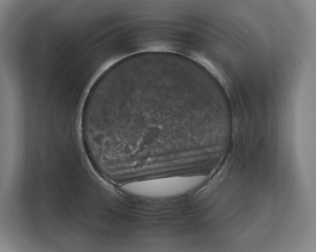 X0000111851331200908201229