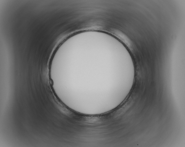 X0000111851332200908201229