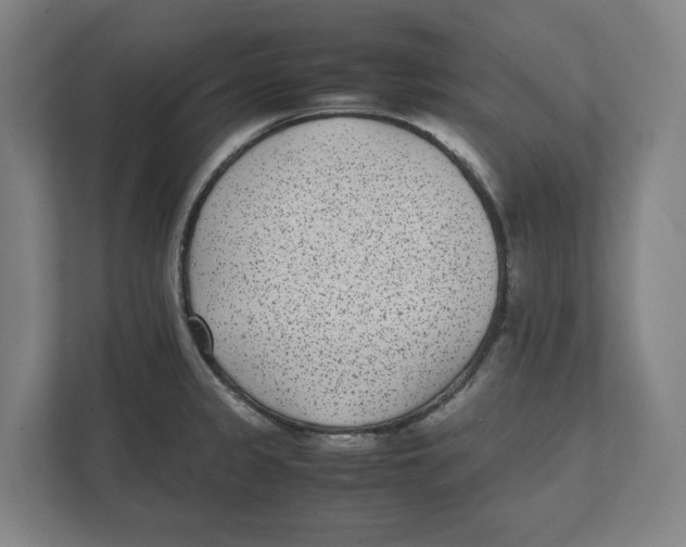 X0000111851333200908201229