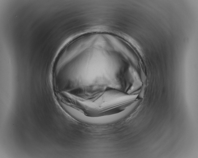 X0000111851334200908201229
