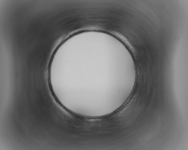 X0000111851335200908201229