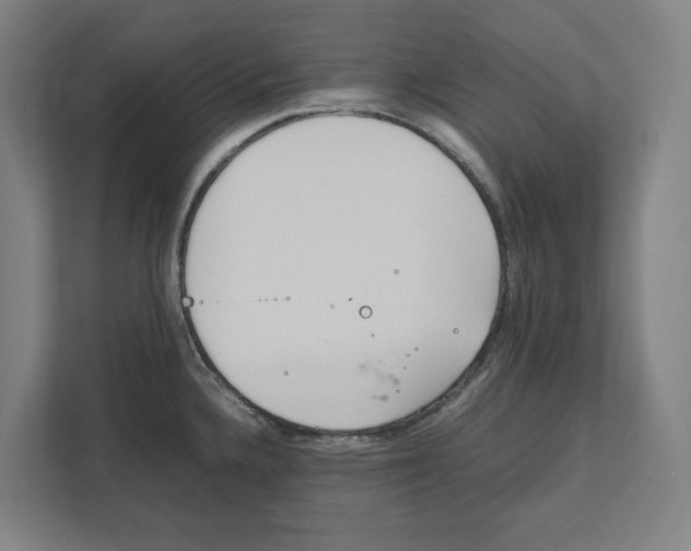 X0000111851336200908201229