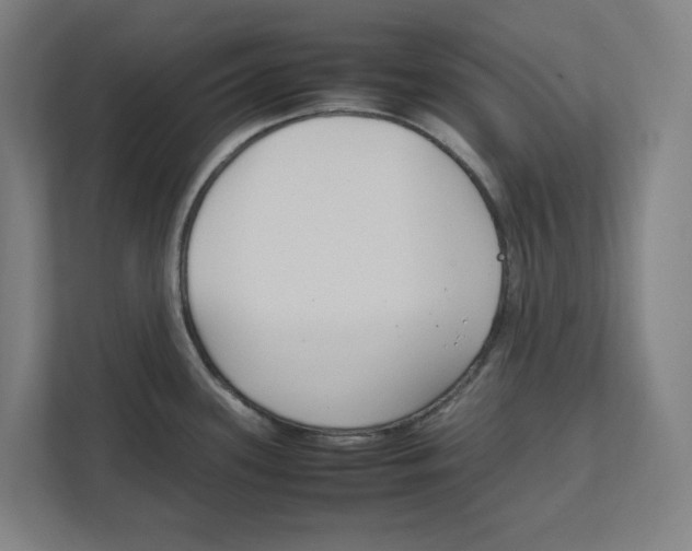 X0000111851339200908201229