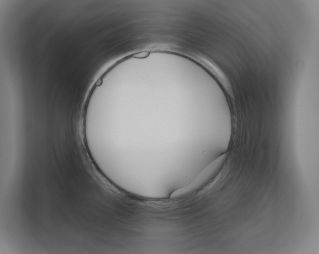 X0000111851340200908201229