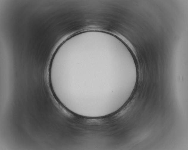 X0000111851341200908201229