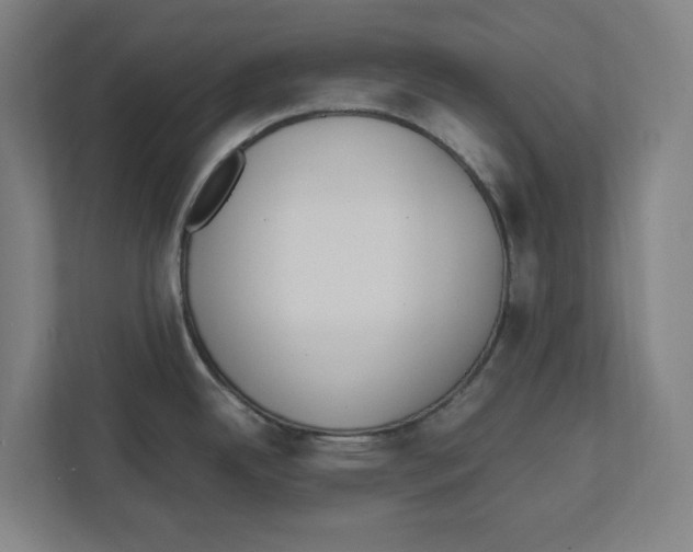 X0000111851342200908201229