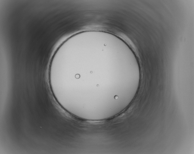 X0000111851344200908201229