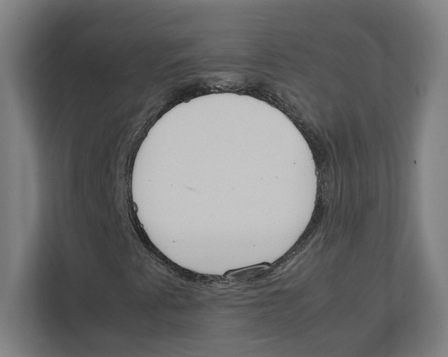 X0000111851345200908201229
