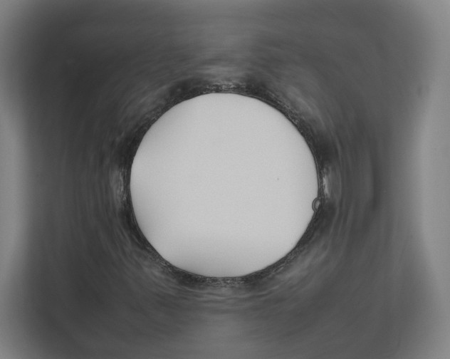 X0000111851347200908201229