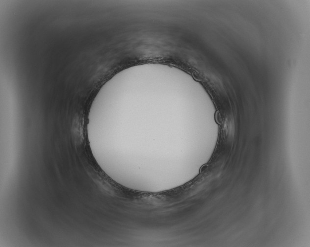X0000111851348200908201229