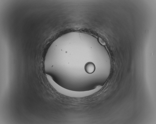 X0000111851349200908201229