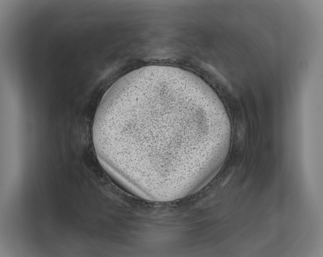 X0000111851350200908201229