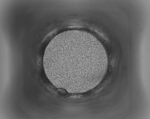 X0000111851351200908201229