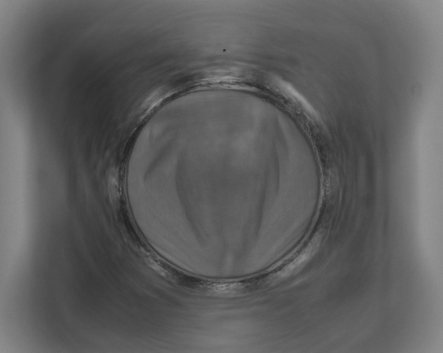 X0000111851353200908201229