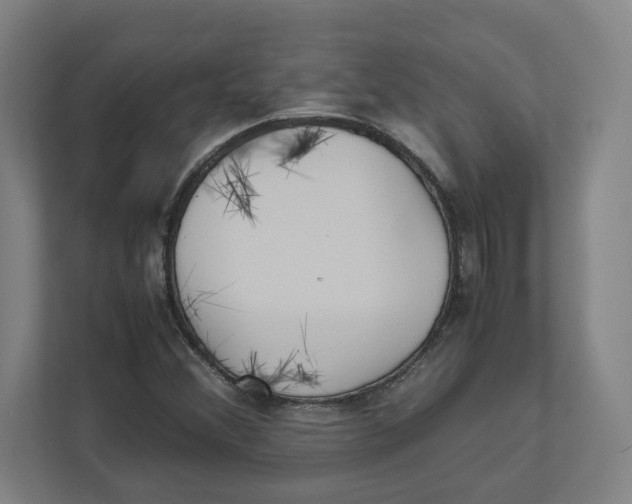 X0000111851356200908201229