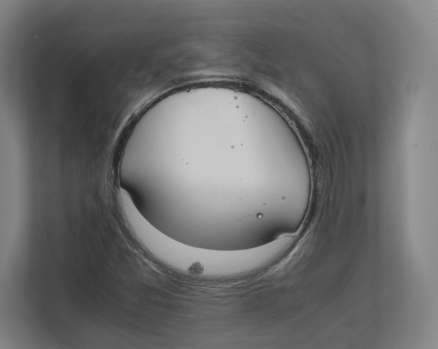X0000111851357200908201229